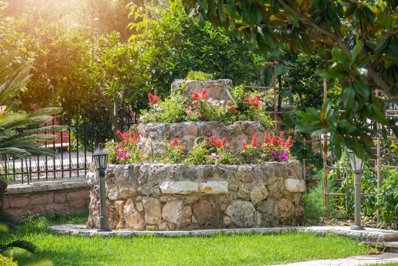 Haroula Apartment